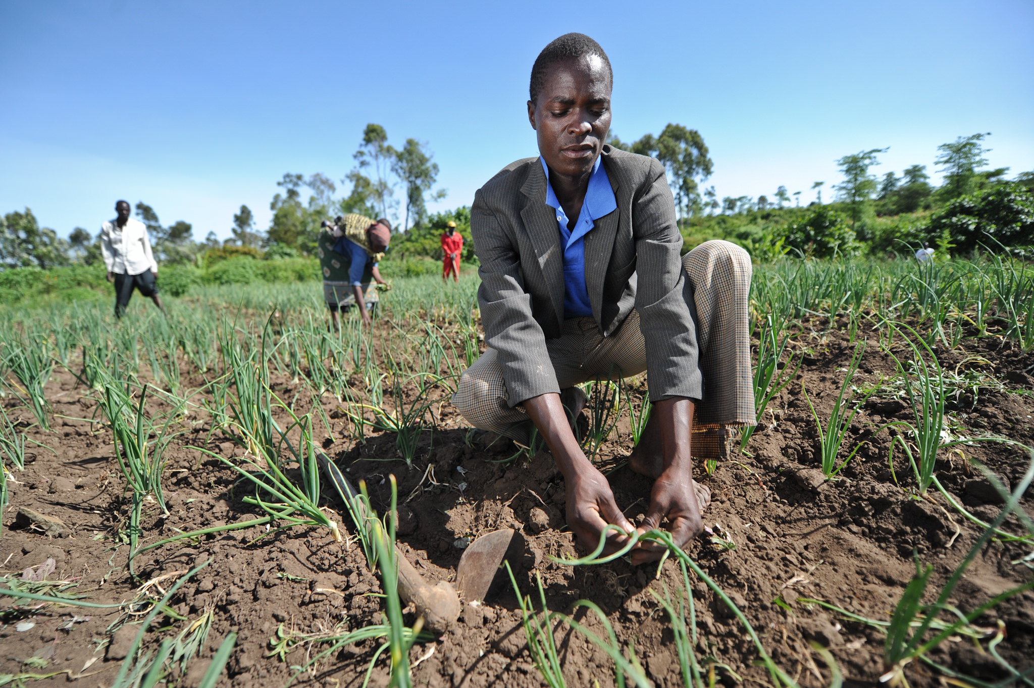 Good Agricultural Practices